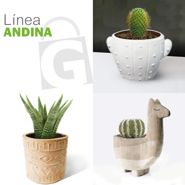 LINEA ANDINA - Imagen 2