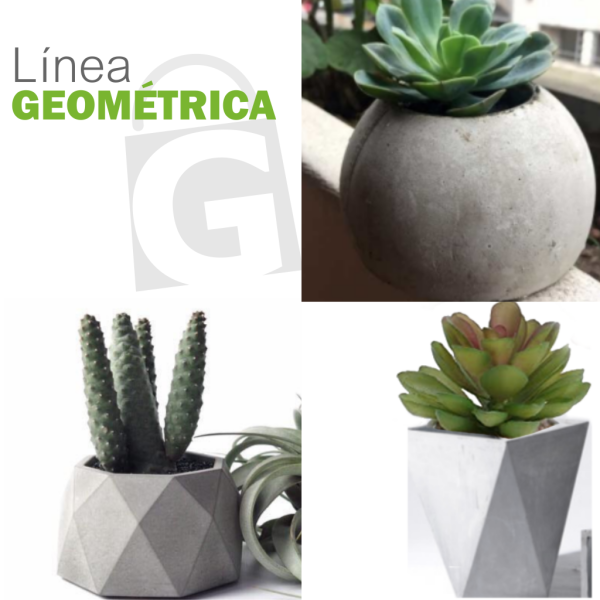 LINEA GEOMETRICA - Imagen 2